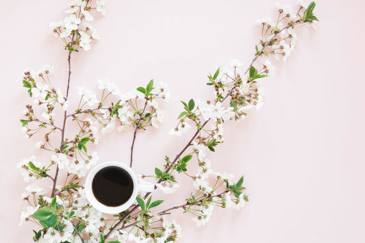 The Art of Quiet Freshness: Discovering MUI